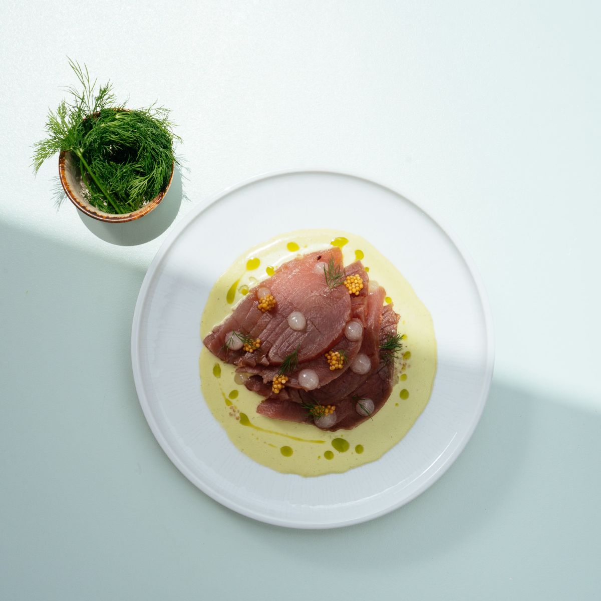 Dish